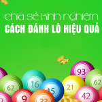 Hướng dẫn cách dò kqxs xs miền bắc xem có trúng không?